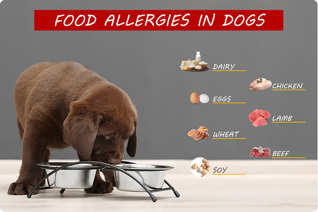 files/ALLERGY_2.png