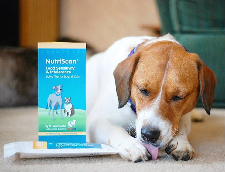 files/NutriScanHomeDog_1.png